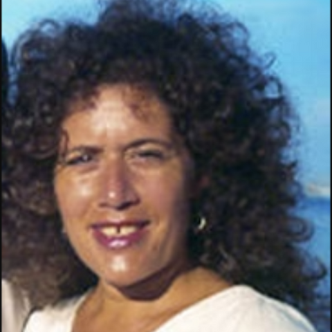 authors/deb-shapiro