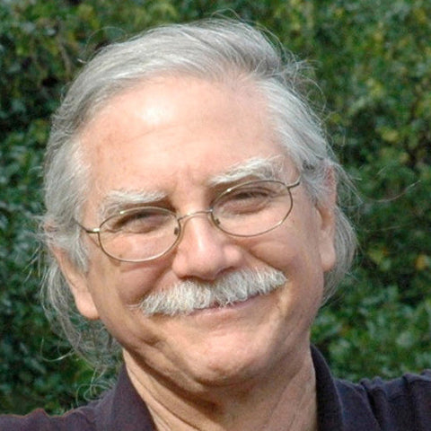authors/michael-singer