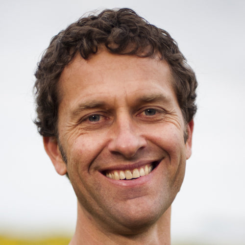 Steve Gold