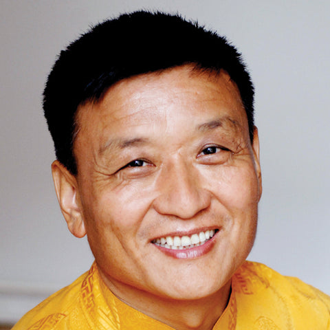 authors/tenzin-wangyal-rinpoche