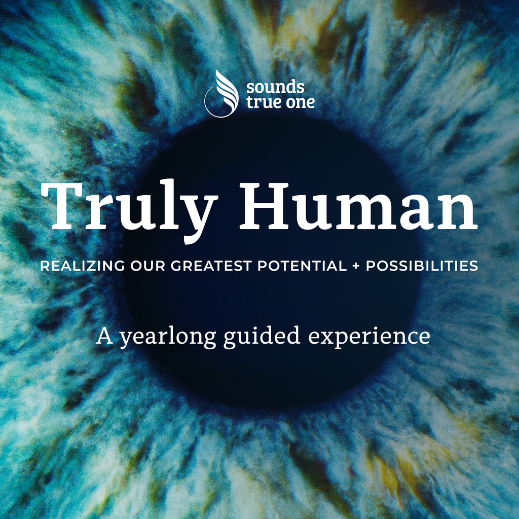True One The Spirituality of Internal Family Systems – Sounds True