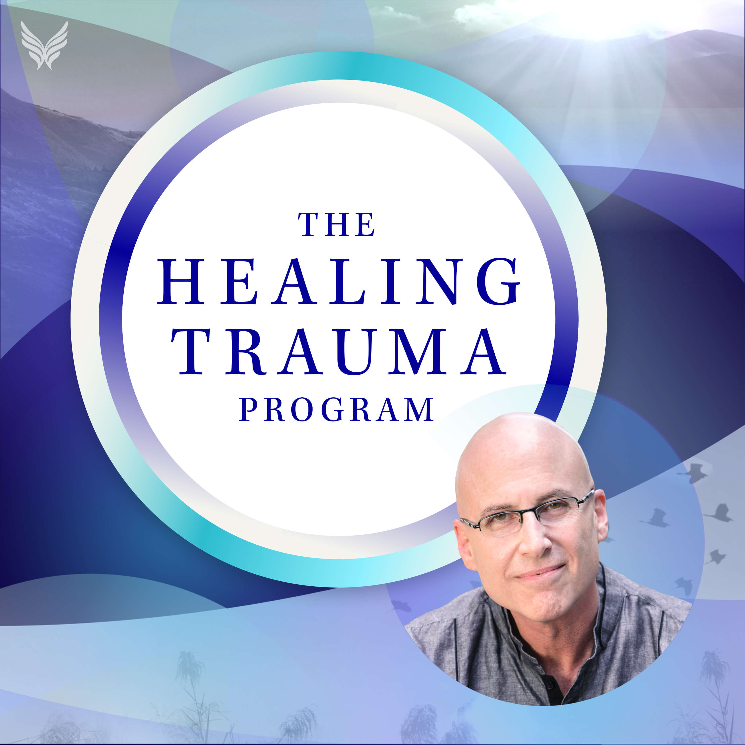 Program Healing The Healing Trauma Program – Sounds True