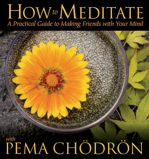 How to Meditate with Pema Chödrön