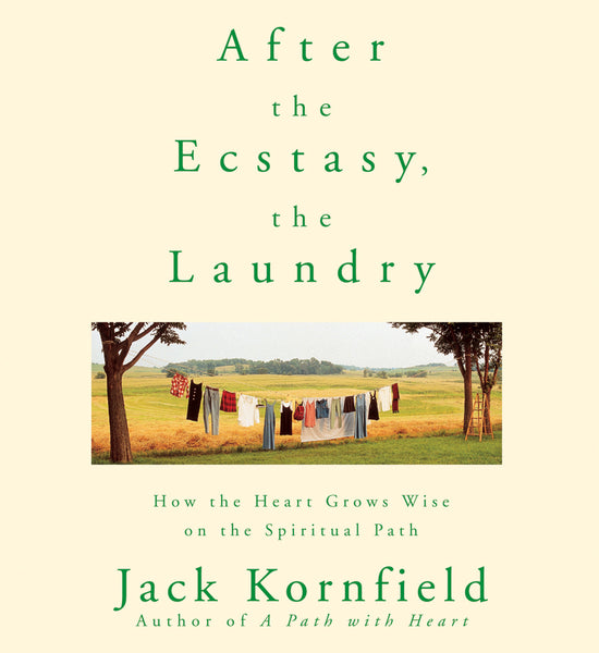 After the Ecstasy, the Laundry – Sounds True