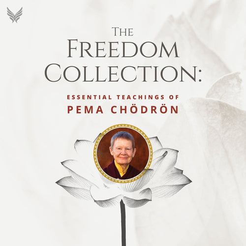 The Freedom Collection
