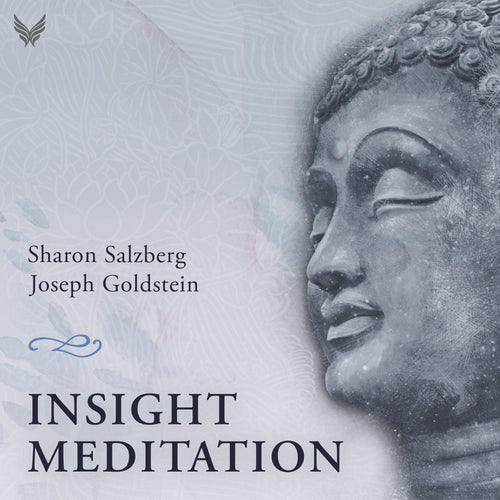 Insight Meditation: An In-Depth Course on How to Meditate (with Joseph Goldstein)